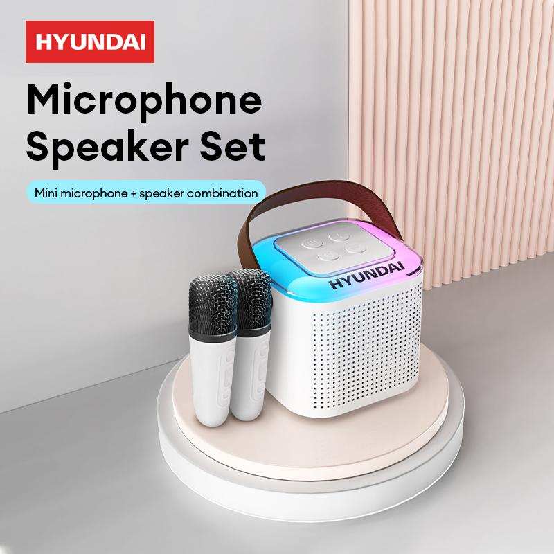 HYUNDAI HY-S13 Portable Wireless Karaoke Bluetooth Speaker With Microphone HIFI Stereo Sound Subwoofers, KTV Speaker Subwoofer With Lighting Effect