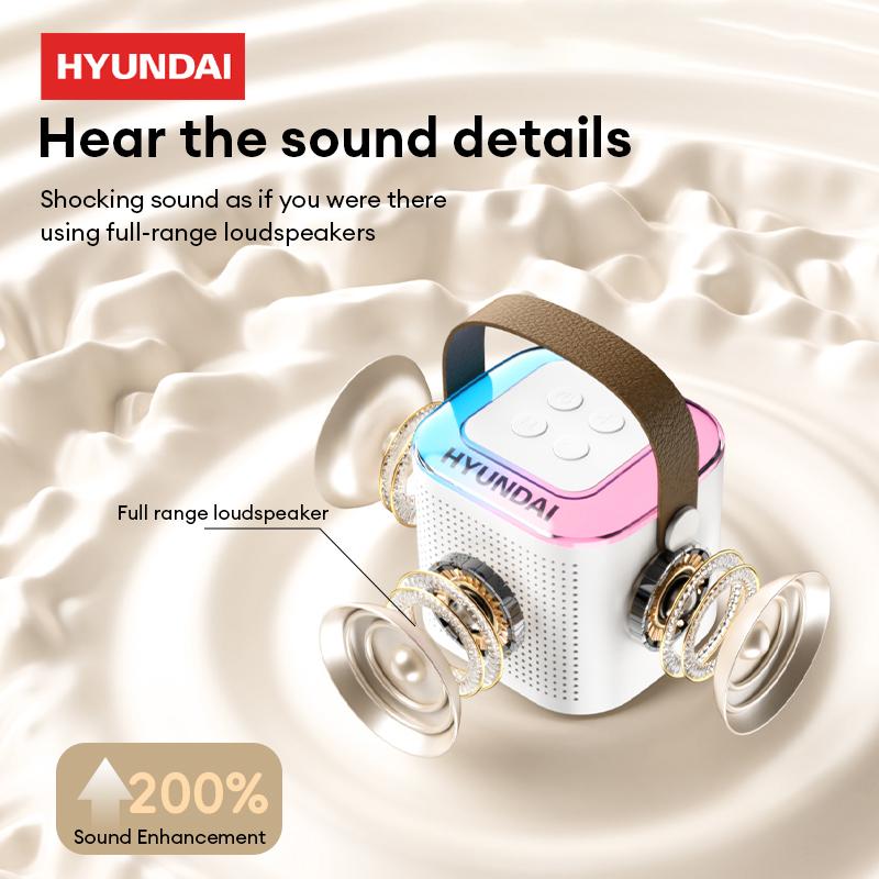 HYUNDAI HY-S13 Portable Wireless Karaoke Bluetooth Speaker With Microphone HIFI Stereo Sound Subwoofers, KTV Speaker Subwoofer With Lighting Effect