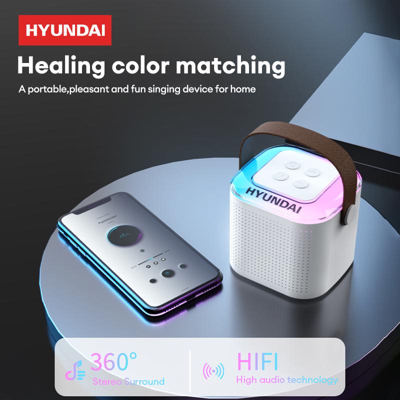 HYUNDAI HY-S13 Portable Wireless Karaoke Bluetooth Speaker With Microphone HIFI Stereo Sound Subwoofers, KTV Speaker Subwoofer With Lighting Effect