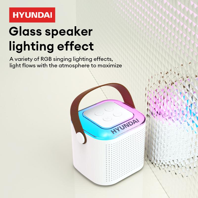 HYUNDAI HY-S13 Portable Wireless Karaoke Bluetooth Speaker With Microphone HIFI Stereo Sound Subwoofers, KTV Speaker Subwoofer With Lighting Effect