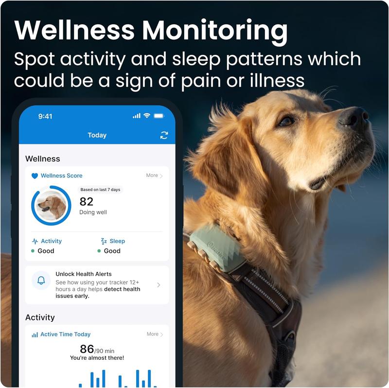 Tractive XL GPS Tracker & Health Monitoring for Dogs (50 lbs+) - Market Leading Pet GPS Location Tracker | Wellness & Escape Alerts | Waterproof | Works with Any Collar (Green)