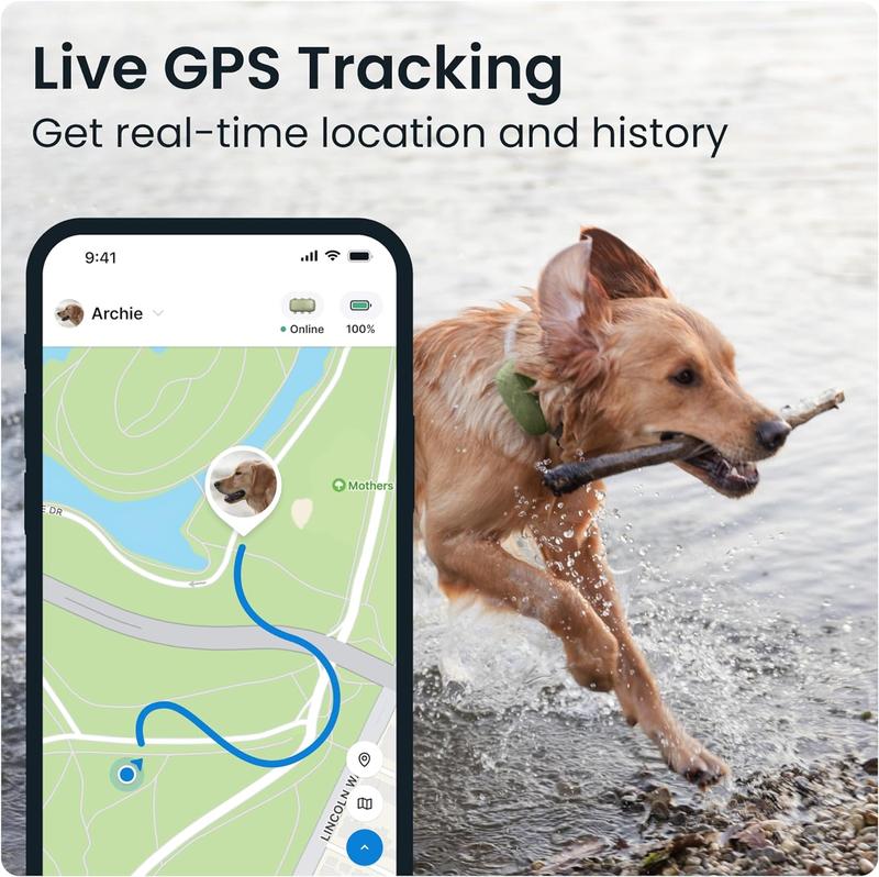 Tractive XL GPS Tracker & Health Monitoring for Dogs (50 lbs+) - Market Leading Pet GPS Location Tracker | Wellness & Escape Alerts | Waterproof | Works with Any Collar (Green)